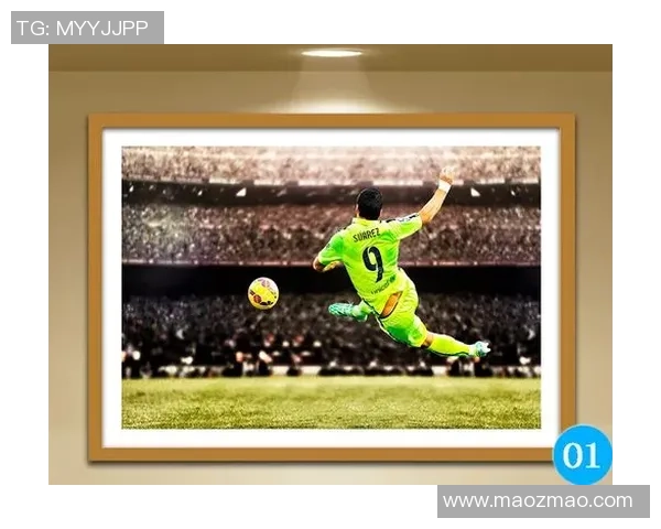 足球明星签名球衣挂画的魅力与收藏价值探讨