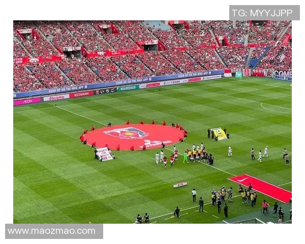 足球明星花球精彩瞬间全景展示及其背后的故事解析