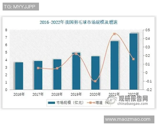 杭州羽毛球队意识表现的深度数据分析与提升策略探讨